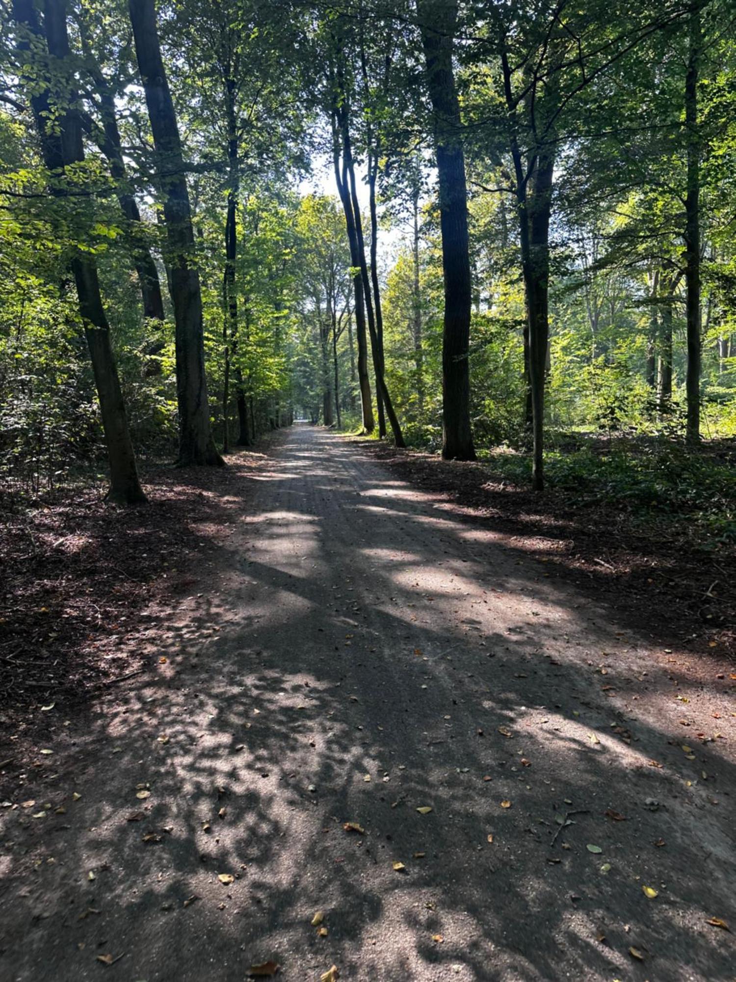 Chalet In Het Bos - Gezin - Wandelaars - Digital Nomads - Hs Wifi - Fijnspar 108 Aan de Wolfsberg Bagian luar foto